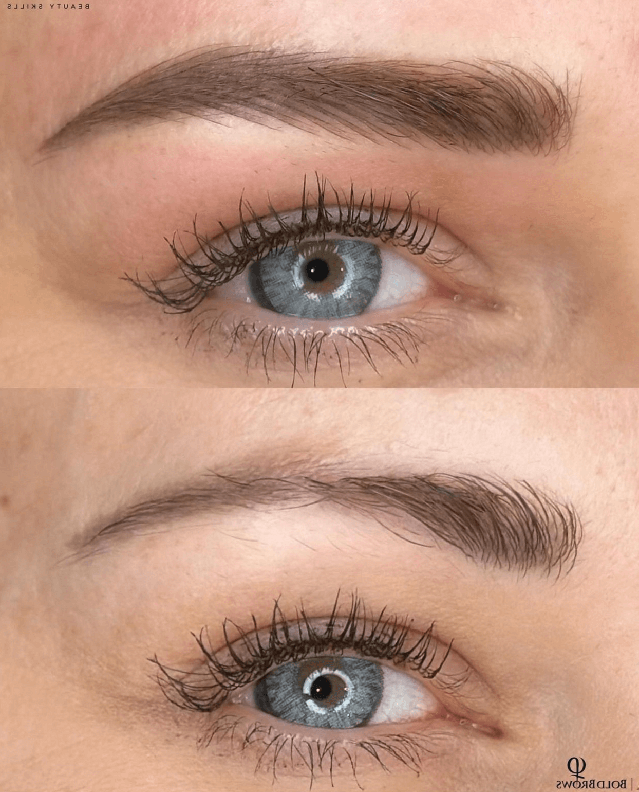 Eyebrow Microblading results